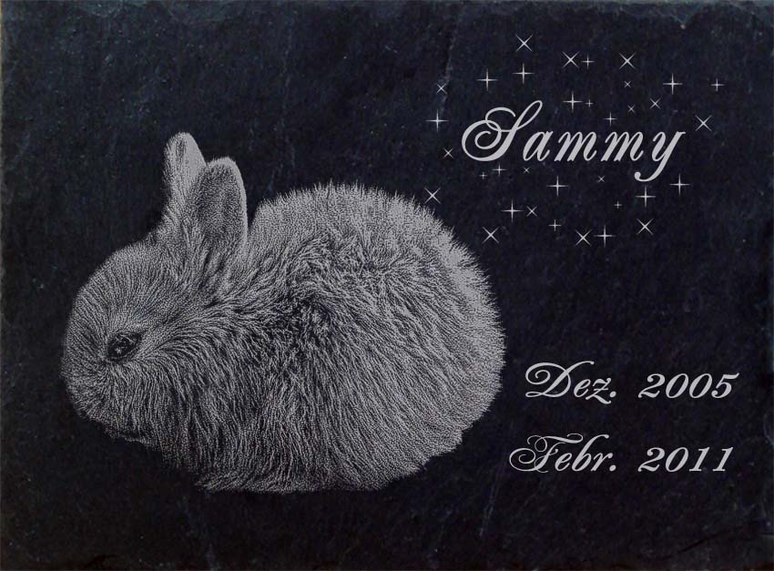 tiergrabstein grabstein grabmal kaninchen hase 002 laser textgravur 30 x 20 cm ebay